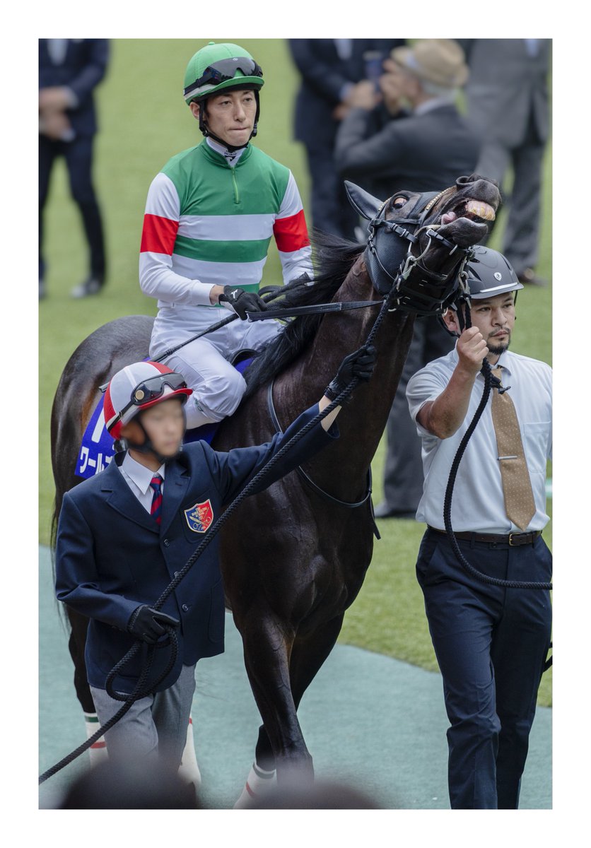_uma_L_M_F_'s tweet photo. 2026/06/07 東京競馬場
11R #安田記念
#ワールズエンド #津村明秀 騎手

パドックでテンション上がっていたのか、シェケナに負けないくらいロックな感じに🤘笑
レースも痺れる逃げで、本当に勝つのかドキドキしちゃいましたね…！
２着凄かったなぁ、次もまたこのコンビで走ってほしいです！ https://t.co/QFBdUYXeyr