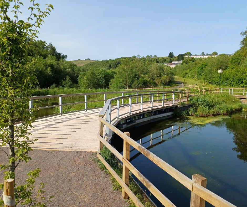 LandcraftUK's tweet photo. The Taf Bargoed Wetland Scheme is looking fantastic, more than a year after completion

The three ponds are thriving, vegetation is well established and the site is buzzing with activity both on and in the water https://t.co/rjddaGoIz6