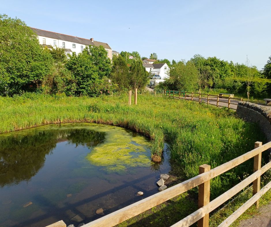 LandcraftUK's tweet photo. The Taf Bargoed Wetland Scheme is looking fantastic, more than a year after completion

The three ponds are thriving, vegetation is well established and the site is buzzing with activity both on and in the water https://t.co/rjddaGoIz6