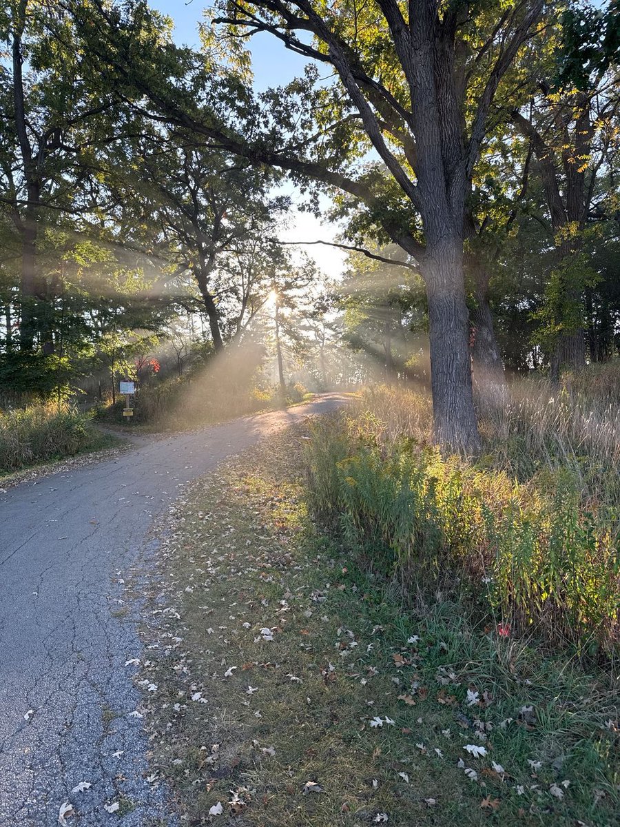 sdhansen's tweet photo. Summer hikes are around the corner #hike #photography #nature https://t.co/BcYQ6ZBAVh