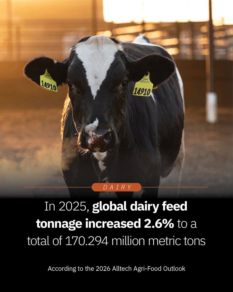 Alltech tweet media