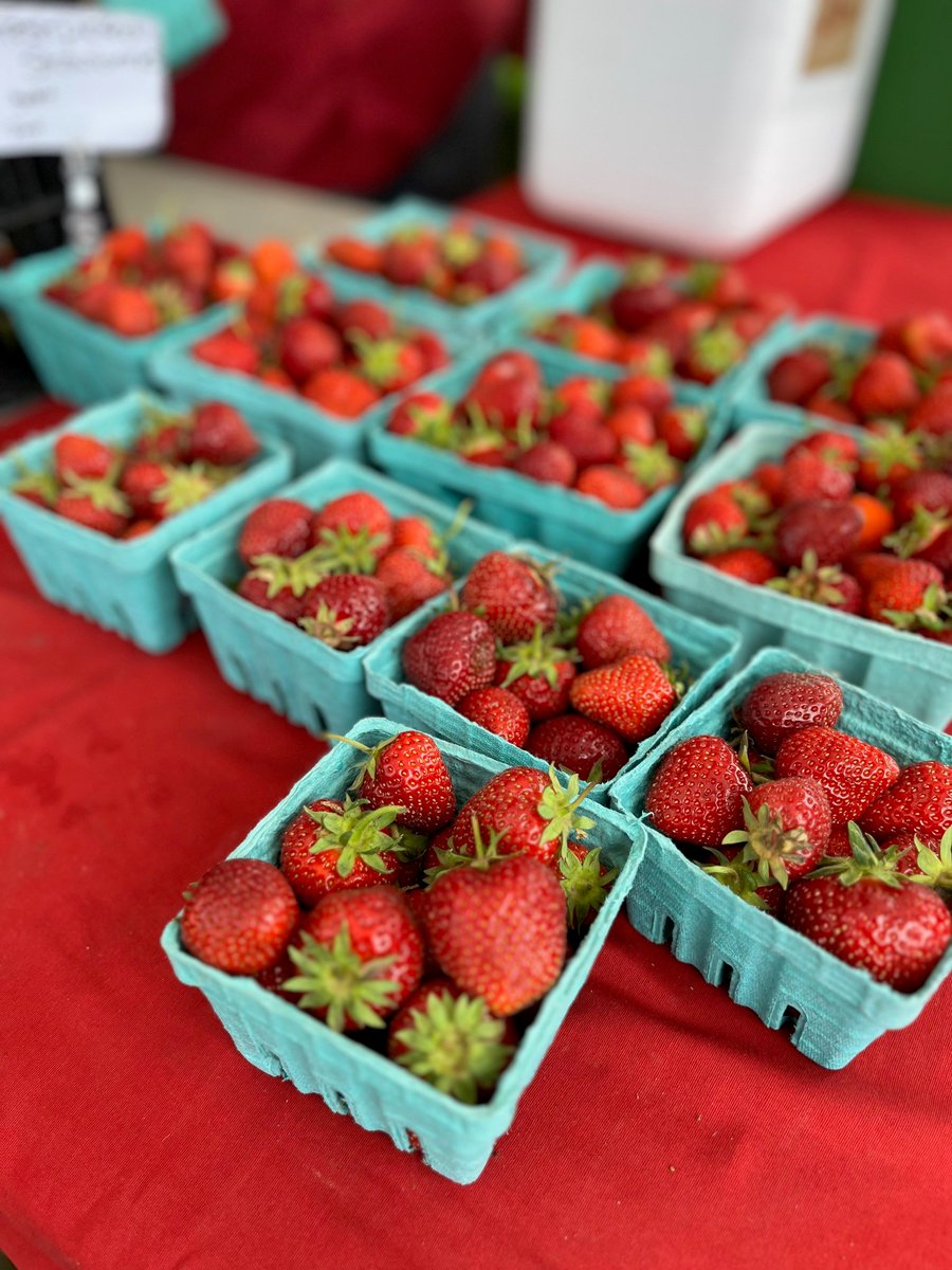 PureCatskills's tweet photo. Berry season is blooming in the Catskills!  Whether you’re picking your own or stopping by a farm stand or farmers’ market, enjoy fresh, locally grown produce from Pure Catskills members, from berries to rhubarb and more.

https://t.co/jDqRVNfBNb https://t.co/78n0JDsZpz