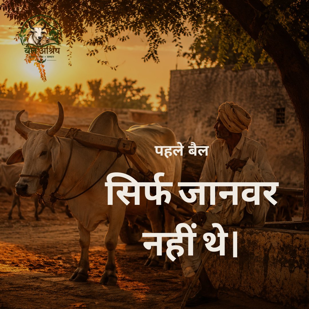Bailashray's tweet photo. बैल सिर्फ खेती का हिस्सा नहीं थे, वे गाँव की अर्थव्यवस्था और रोज़गार की ताकत थे। 🐂

उनके योगदान को याद रखें और उनके संरक्षण में अपना सहयोग दें।

📞 9217710855
🌐 https://t.co/69z5uLdrex

#BullCare #RuralIndia #AnimalWelfare #Heritage #BailAshrey https://t.co/ztQurdBjxV