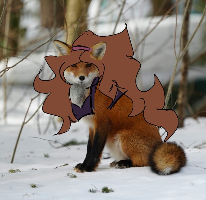 🍰Pat 🍰 tweet media