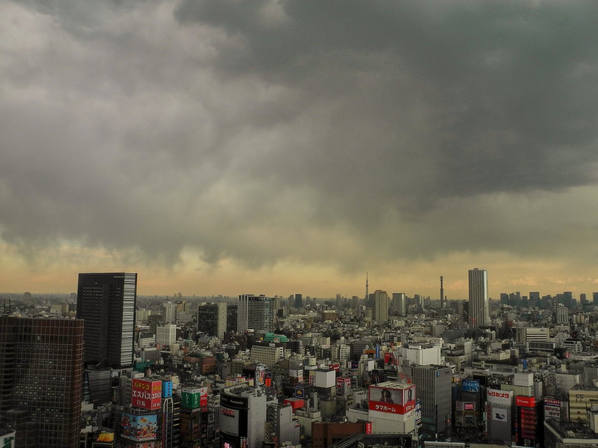 tanadel's tweet photo. ある日、新宿エルタワーから
#COOLPIX_P7100 https://t.co/XwdQi0NIS0