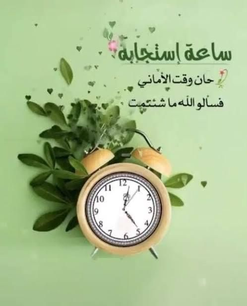 شـمـس 🦋 tweet media