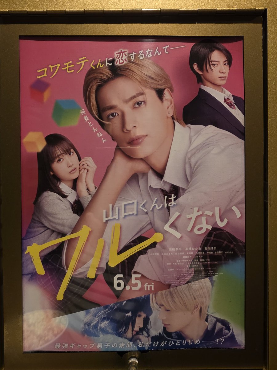 yutan782's tweet photo. 山口くんはワルくないにゃう🍿 https://t.co/hya5t6cAMz