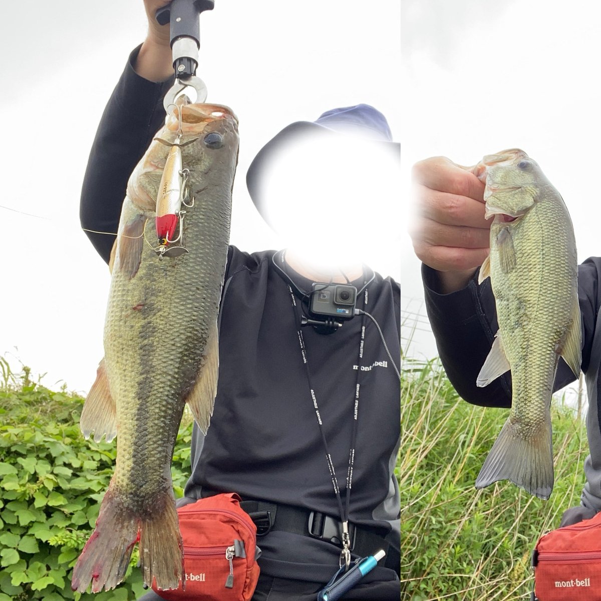 midnight7777's tweet photo. 雨で朝イチはやめたけど我慢出来ずに午後から釣行🎣

ローライトは昼間でもいい感じだ〜😊 https://t.co/4TE76263XD