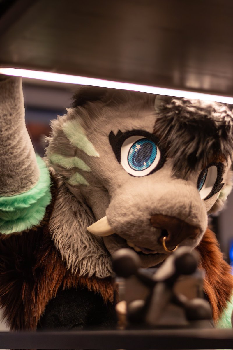 mintsaber_dark's tweet photo. Flights are officially booked! Who's cuming to see me at Calfurry!? 

Sept 4-7

Pretty please https://t.co/m1io2Xqrp1