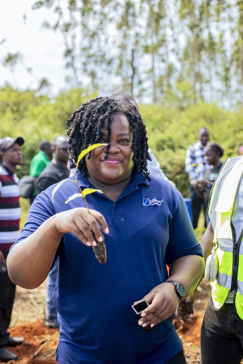 KDispatches's tweet photo. dfcu Foundation, UTGA Mark World Environment Day with Tree Planting Drive in Mukono, Advance 500,000-Tree Climate Goal @KDispatches https://t.co/1A8VYsrzLs @dfcugroup @Educ_SportsUg  @utgardens https://t.co/3qVlnuWYKB
