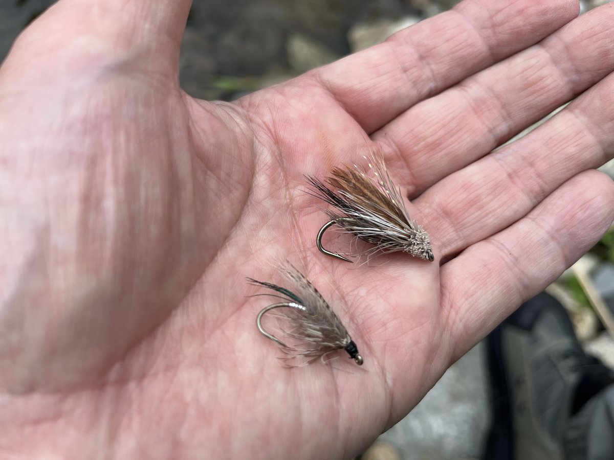 sohtake99's tweet photo. 現地は、予想以上の " 増水 " ！
毎年恒例の？下流ダム湖からの " 遡上魚 " 狙い・・。🎯🤔#wetfly https://t.co/SksJgYS7z6