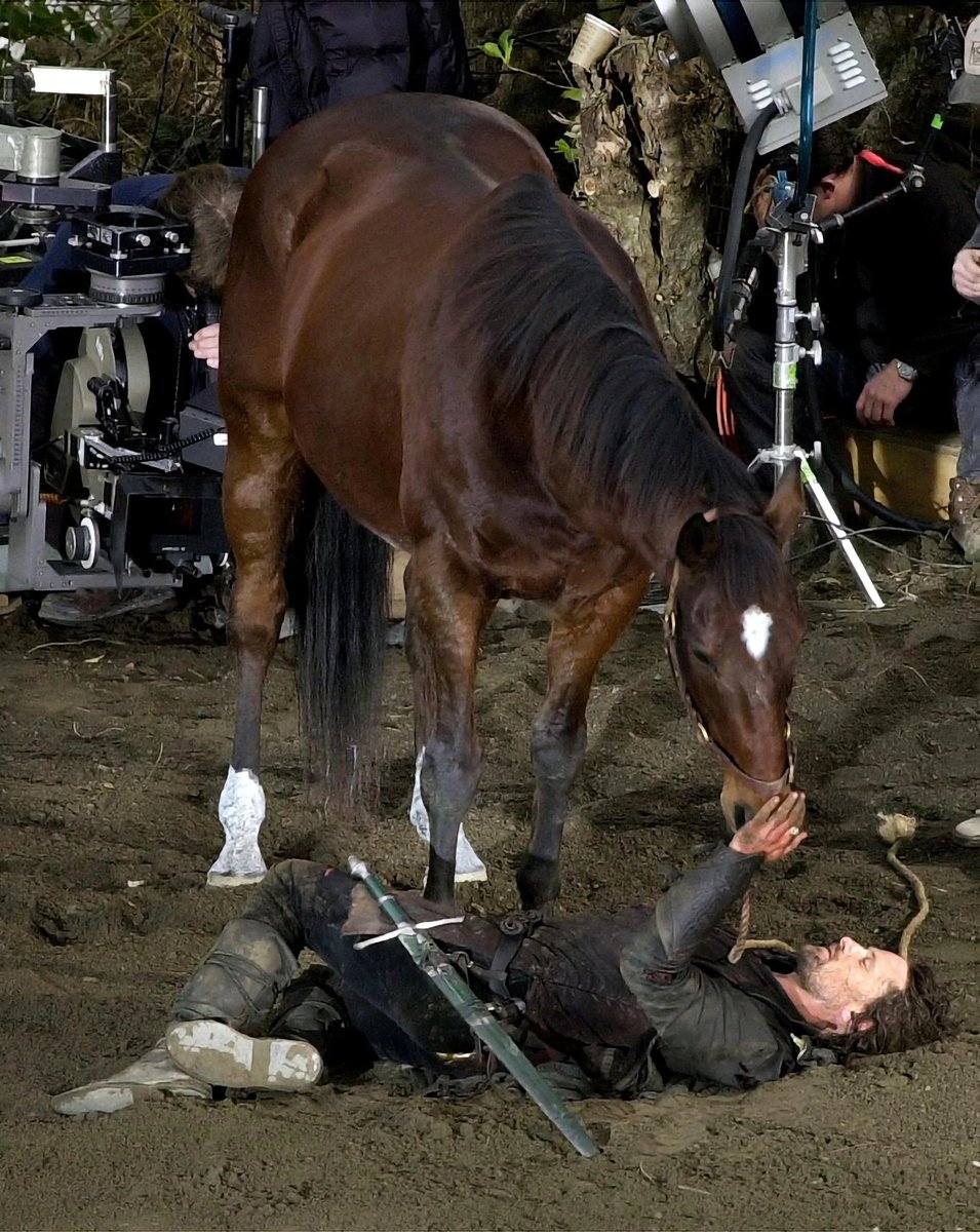 _EruIluvatar_'s tweet photo. Aragorn &amp; Brego https://t.co/FK11zwkmcU