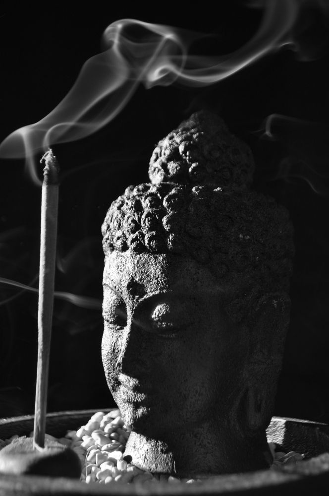 Zenm001's tweet photo. The art of being a sage is to balance the wonder and terror of being alive.

- Zen teaching https://t.co/yblMqodDAQ