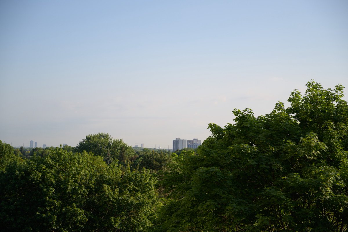 ModelsByDay's tweet photo. @gtaweather1 Good morning. The sun is way too bright to take 4 pictures today. One images is zoomed into the North area #ShareYourWeather https://t.co/ew4A488iK7