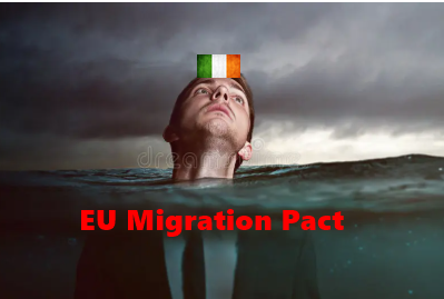 Maximil86429959's tweet photo. Ireland is going to be up to its neck in it.

Endlessly &amp; recklessly flooding with wave after wave of migrants, to such a degree that if this is not halted then the Irish will eventually be well on track to becoming an ethnic minority in their only rightful homeland⚠️🇮🇪⚠️👇👇👇 https://t.co/kKWTHfCfNz