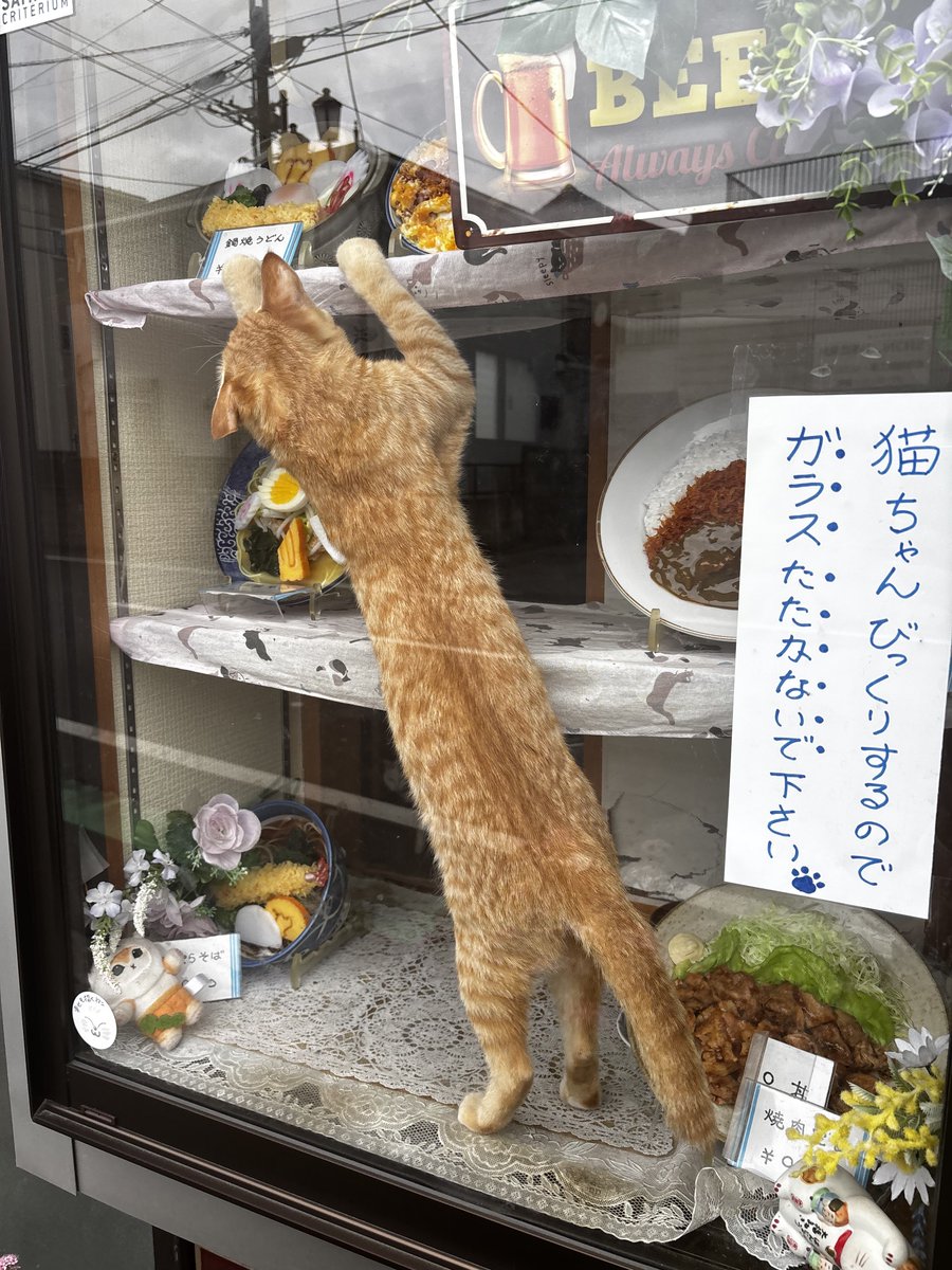 724_I537's tweet photo. こっちかびっくりするわ。 https://t.co/R0t6UTZkl5