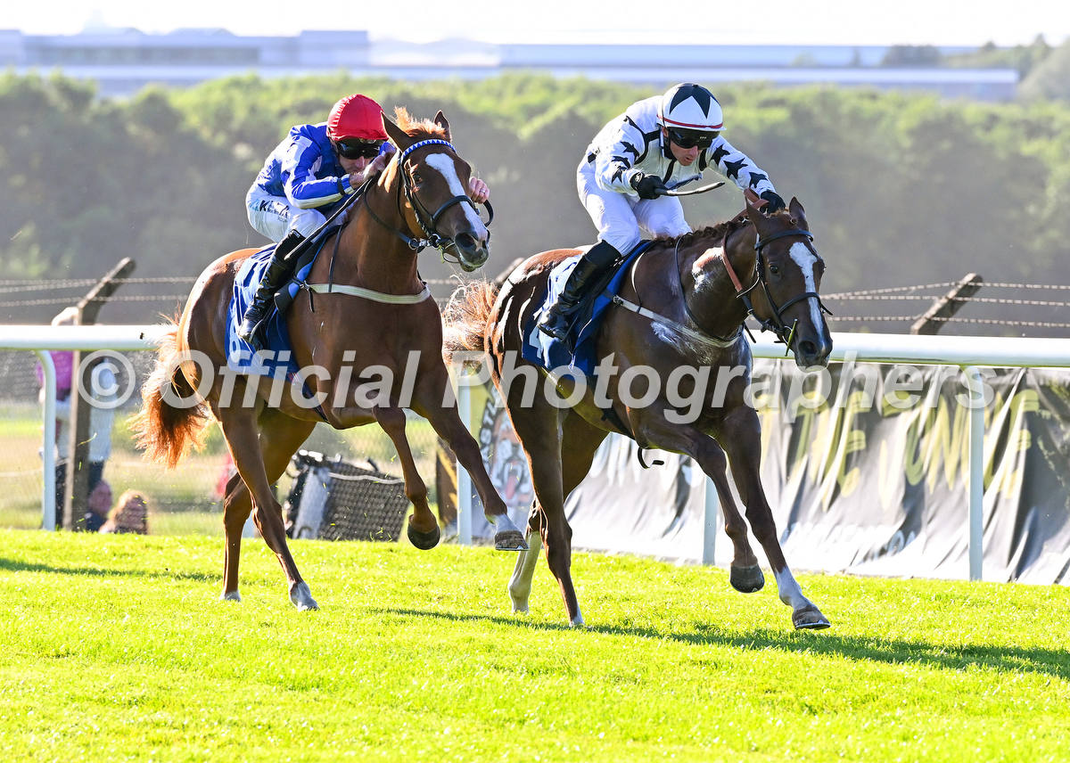 offphoto's tweet photo. All the official photographs from @ponteraces on 8th June can be viewed at https://t.co/yih9lUx38L https://t.co/k6EHyNLWpI
