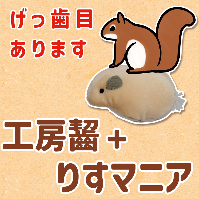 studiorodere's tweet photo. 今年も恒例の #博物ふぇす に出展します。

ブース名：E27 工房齧+りすマニア（2026両日）

私は新作ぬいぐるみ2種（#スナネズミ、#デグー）
りすマニア（@kroris_maki) さんはいつもの倍のページ数の同人誌。
2人合わせていつもの4倍！特盛です。 https://t.co/pzJ108Rch7
