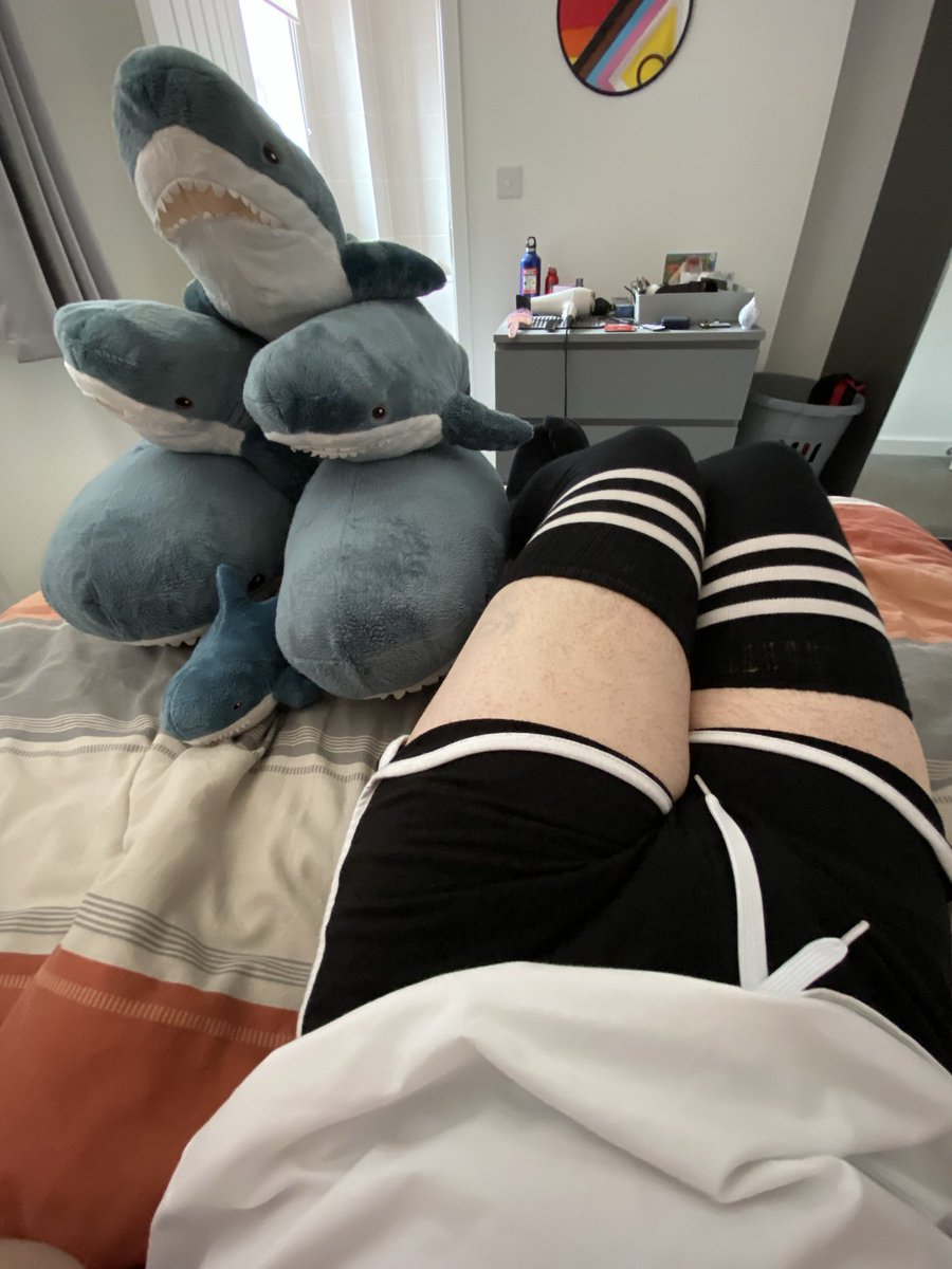 Deffective1's tweet photo. Shark tower :3

#femboy https://t.co/EHtCrt8eLb