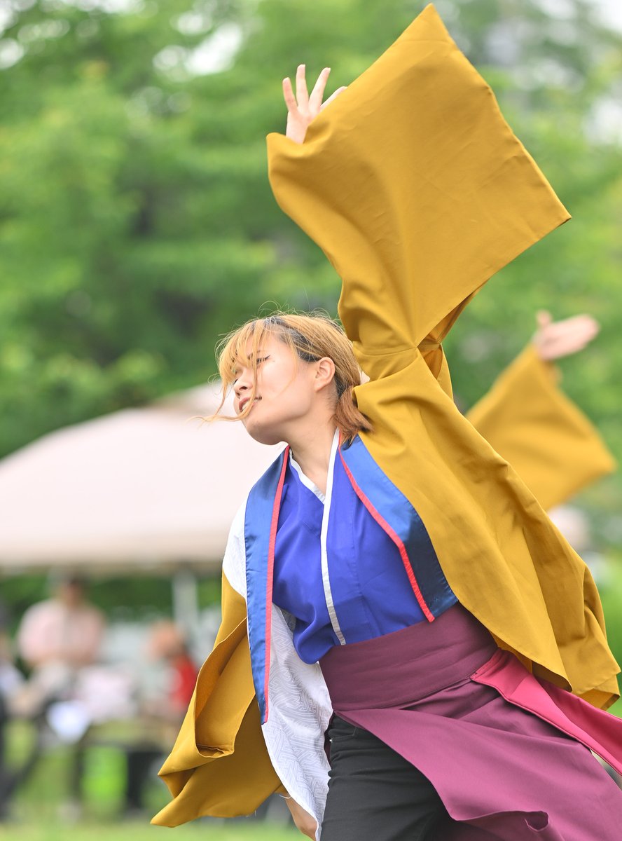kiyopi928's tweet photo. #犬山踊芸祭　
#大喝祭 https://t.co/OqXNtq9LVr