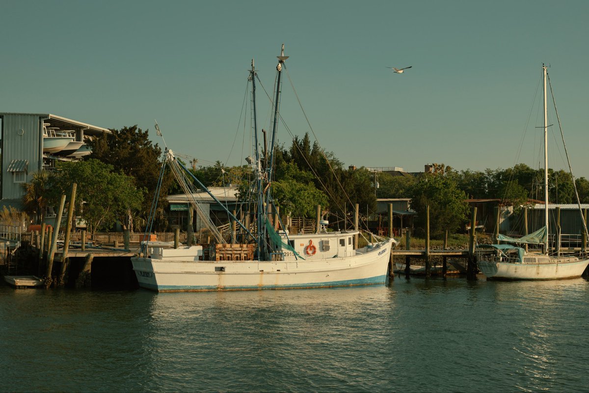 MikeRicciPhoto's tweet photo. Golden hour at Shem creek
Fuji xpro2
#fuji #fujifilm #xpro2 https://t.co/F2cAKKBIB6