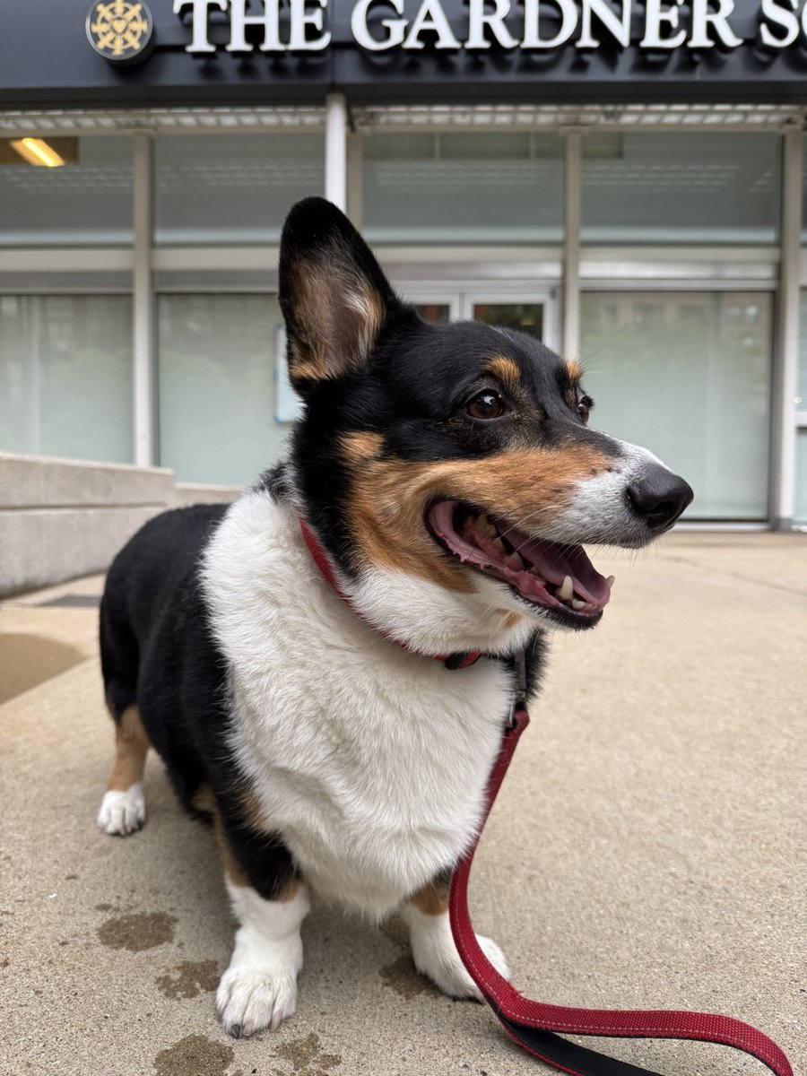 Ralph the Corgi tweet media