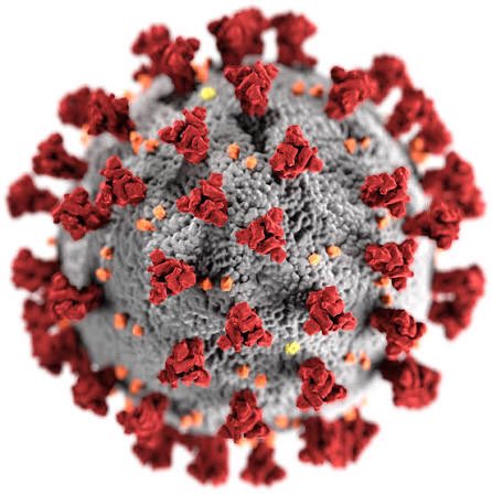 jenkkuha's tweet photo. le sserafim as viruses 🦠 (thread)

yunjin as covid https://t.co/v6tzqAdvCO