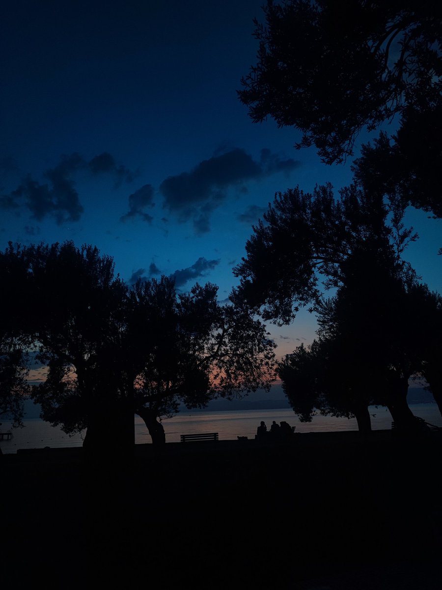 daimibutimar's tweet photo. •bir akşam üstü https://t.co/RQ8BGQjNCV
