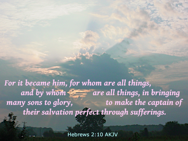 McntaMinistries's tweet photo. #Jesus #man #glory #captain_of_salvation #sons #perfect #sufferings #Hebrews #epistles #Scripture #HolyScripture #Bible #HolyBible #WordofGod #Bibleverse #MacintaMinistries https://t.co/FqcVpnNAar