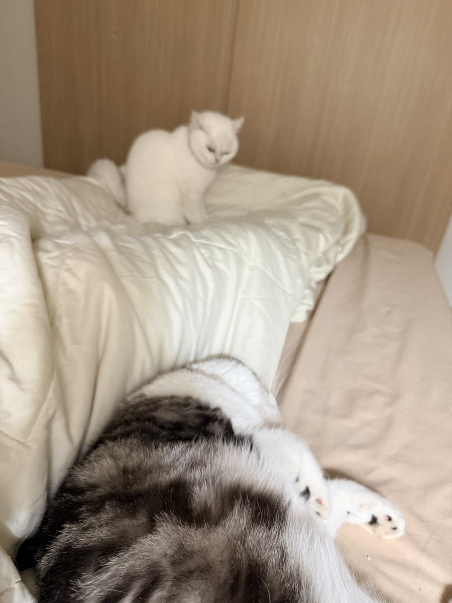 drm_xs's tweet photo. ผมเป็นเหน็บแล้วค้าบบบ https://t.co/7xvNm2ehhL