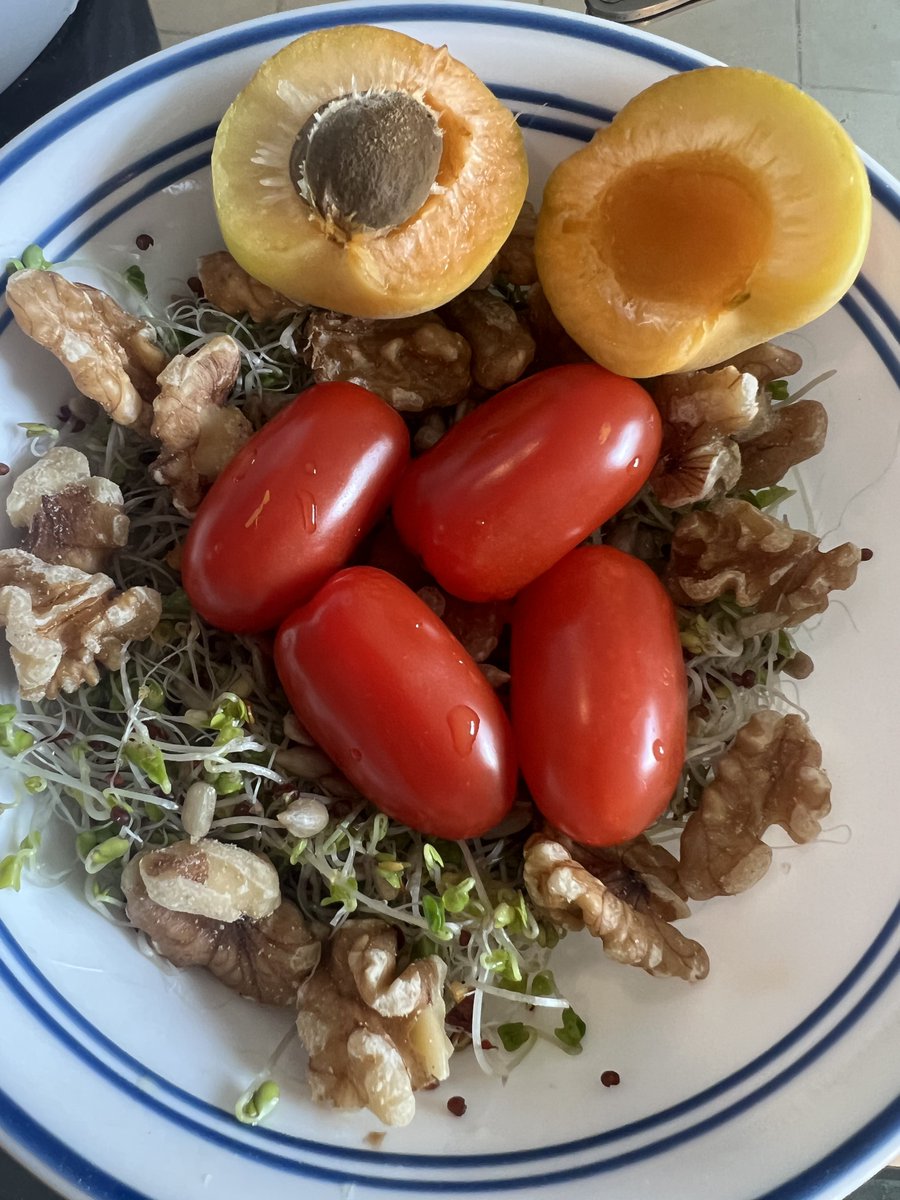 DallasDHom's tweet photo. My own inspired breakfast creation: Bird’s nest. 
I ran out of gooey eggs https://t.co/7yOCaC3FcE