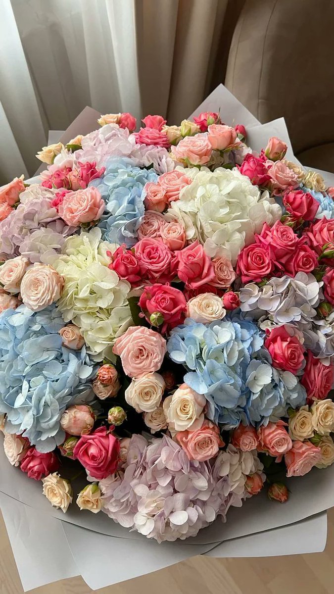 petalparadiseee's tweet photo. https://t.co/qy5r3wHiRZ