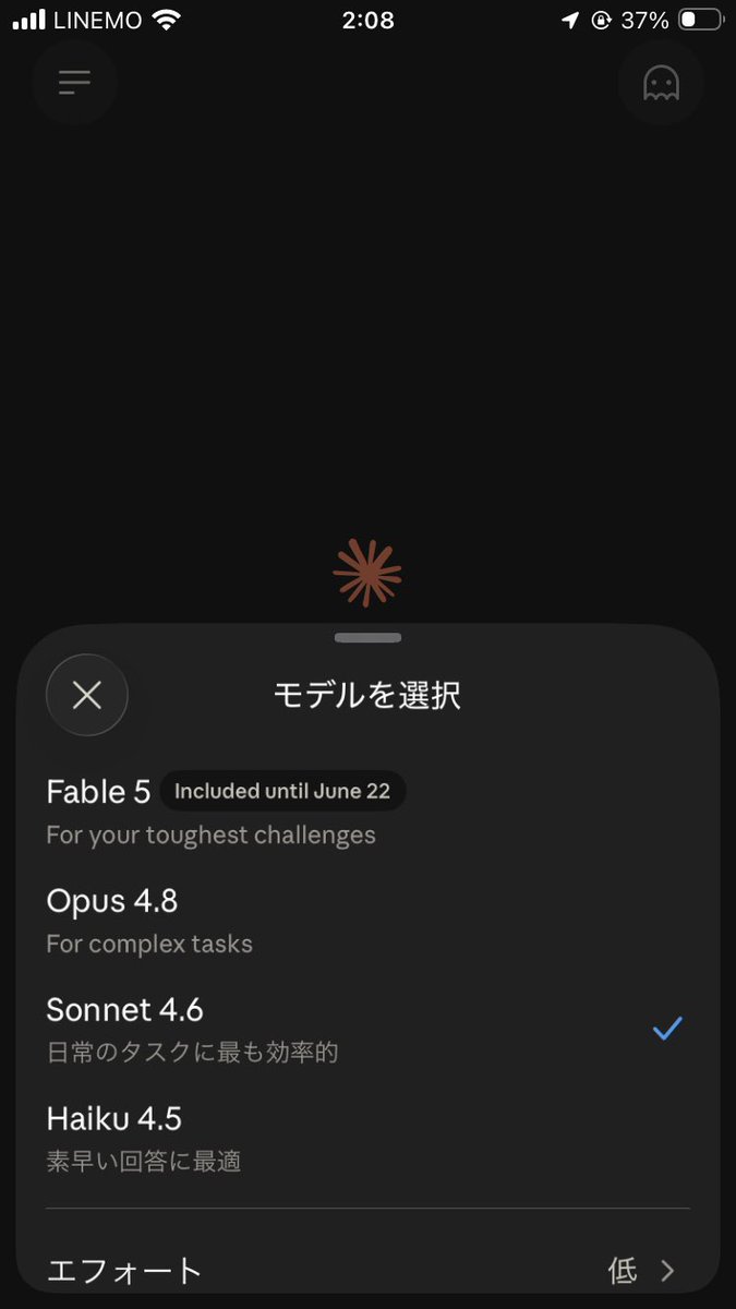 マグマグ tweet media