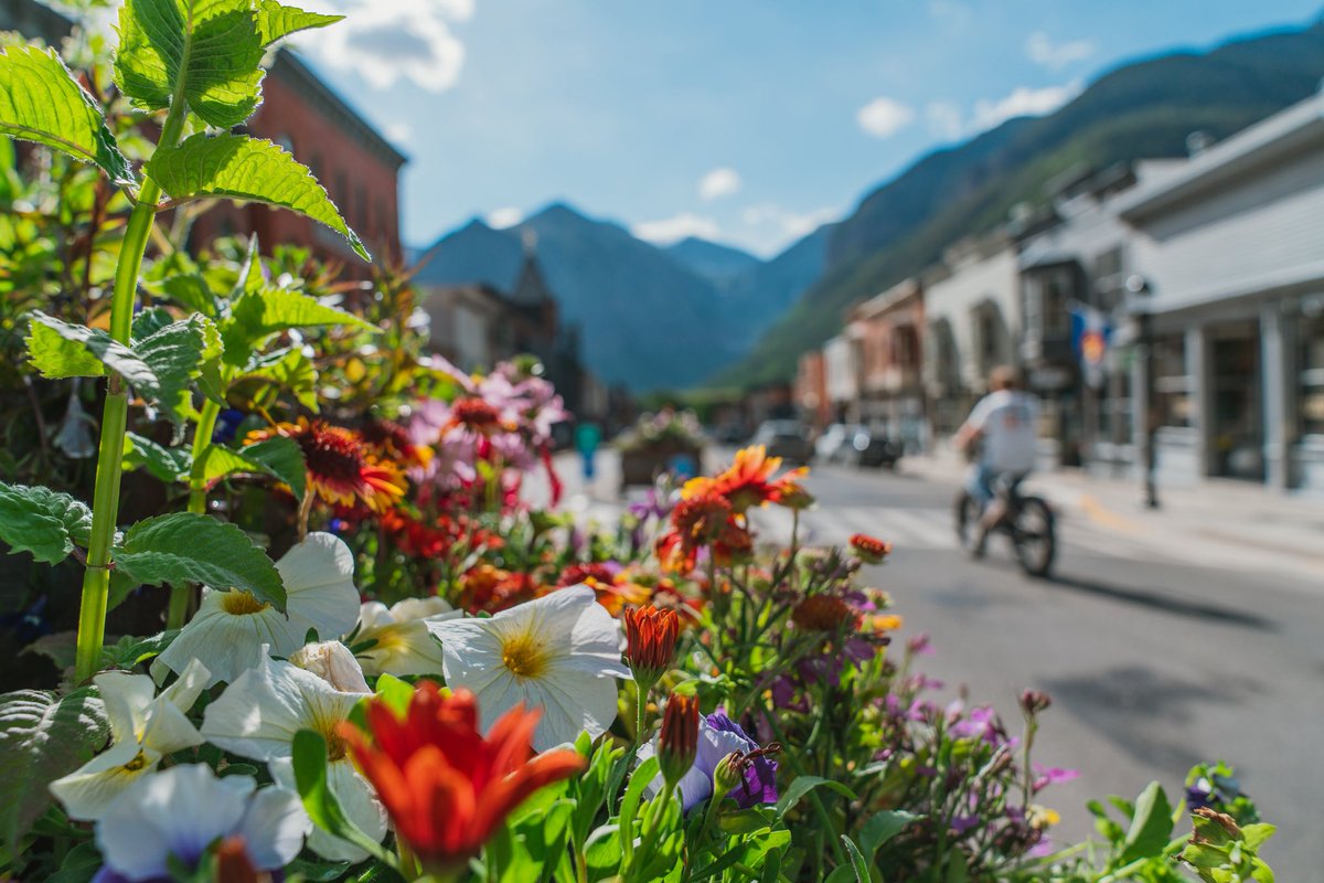 VisitTelluride's tweet photo. The flower boxes are out… SUMMER IS OFFICIALLY HERE 🌸🌺🌻🌼🪻

📸: @PalmaCaruso https://t.co/UoQSrn5VOz