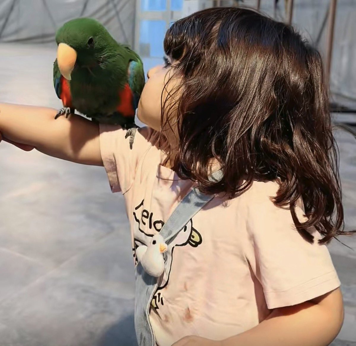 ni2ee5's tweet photo. فجرت اذن ام البغبغاء 🦜😭😭😭
#مناحي_الرجباني https://t.co/pE63J9HMXP