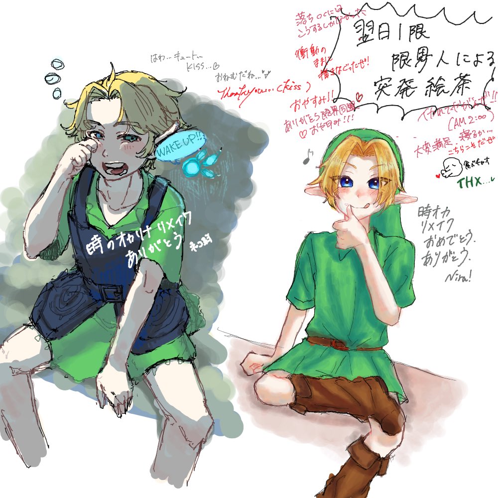 Nira🌱ティアキンプレイ中 tweet media