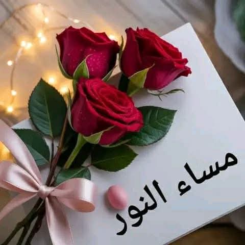 TiTono2's tweet photo. @s_y1986 https://t.co/9CBF6RKbDl