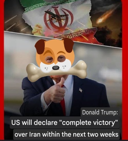 AwffBknmt47362's tweet photo. @SecRubio @WhiteHouse @VP @realDonaldTrump @SecWar @POTUS @POTUS45 @potusparodyx @MonicaCrowley @YinonMagal @C14_news @kann_news @IsraelHayomHeb @Haskupim @N12News @newsisrael13 @ZmanIsrael @Haaretz @netanyahu @gidonsaar @Israel_katz @beit_Hmikdash @itamarbengvir @GilaGamliel @bezalelsm The victory that the yellow dog announces🤣🤣 https://t.co/UDEzoNhCdP