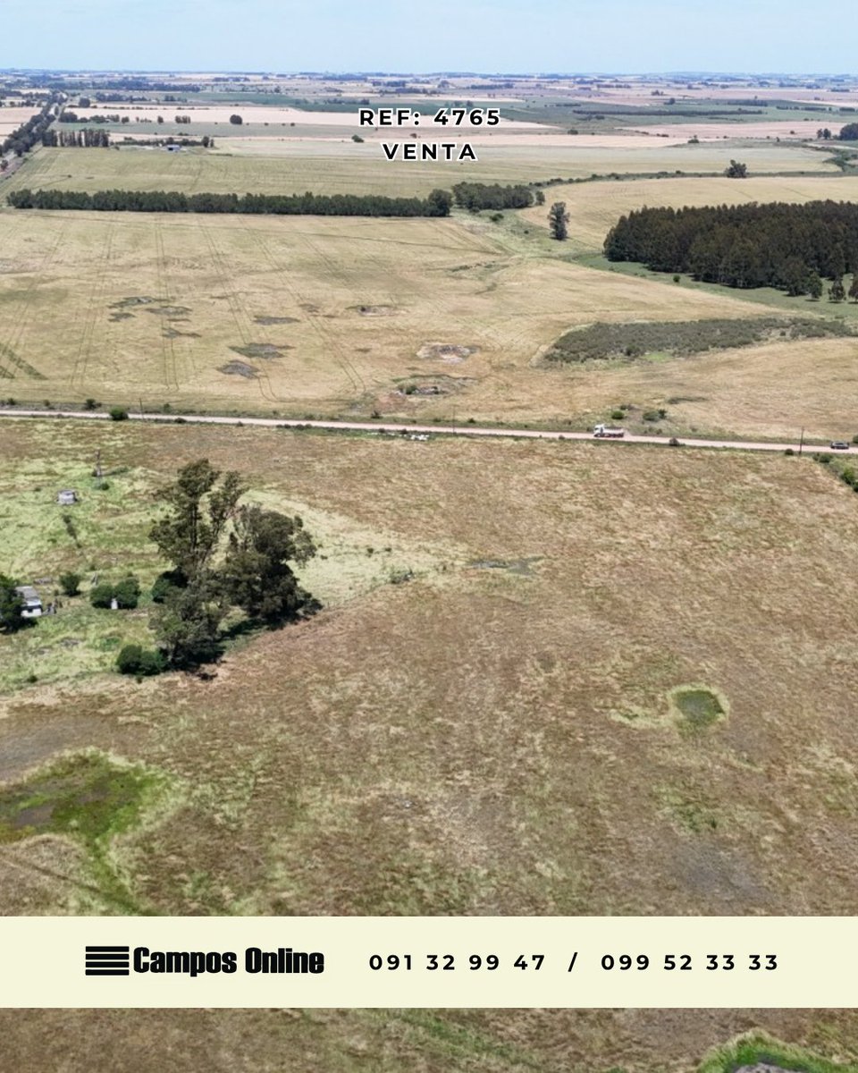 camposonlineuru's tweet photo. Por más información visite: 💻 Referencia 4765 en https://t.co/FSEirOLPKD                                                            
O contáctenos: 📩 

🌱Inmobiliaria Rural Campos Online Uruguay 🇺🇾

.

#colonia   #propiedadenventa #campo #inversion #campoenuruguay #campoenventa https://t.co/7WvRTc44Qz