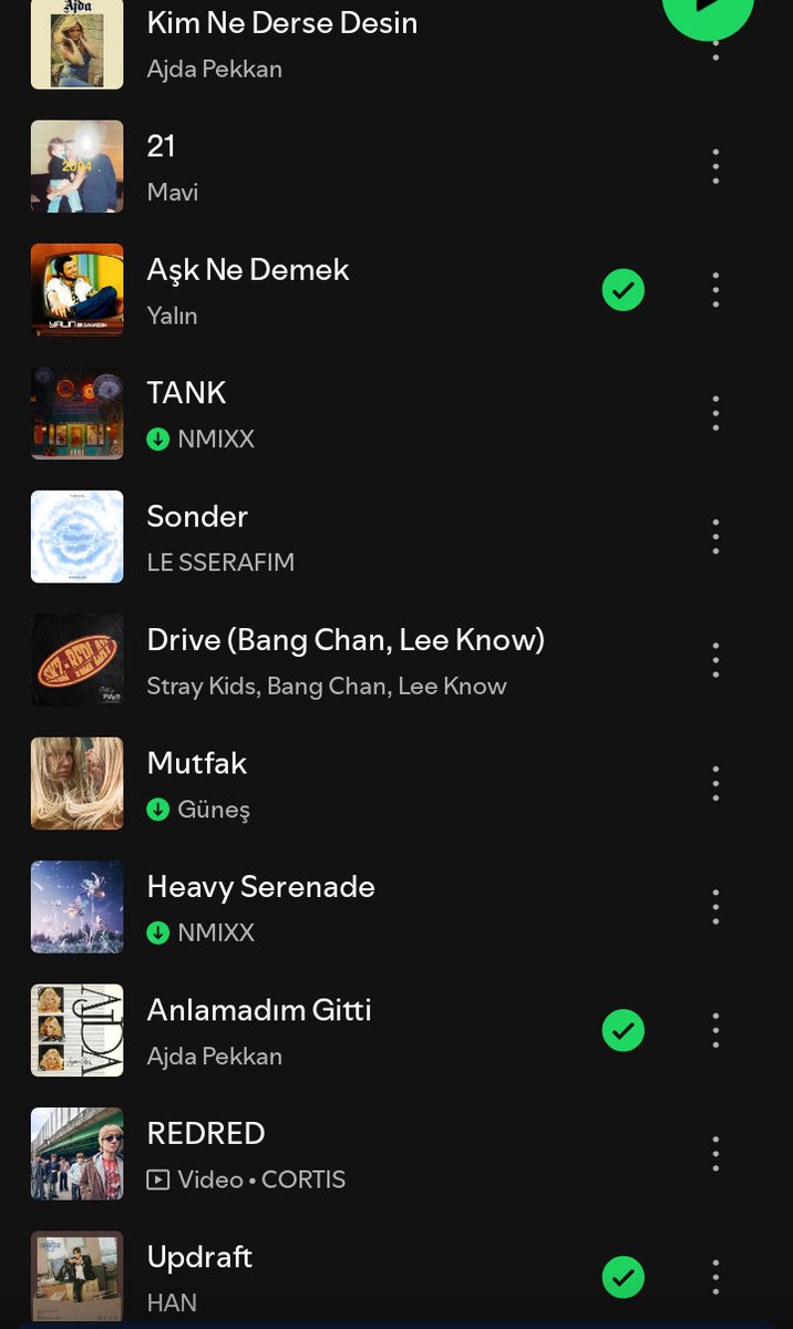Hanikiuc's tweet photo. my pfp                       my on repeat https://t.co/xeTbbB4cZt