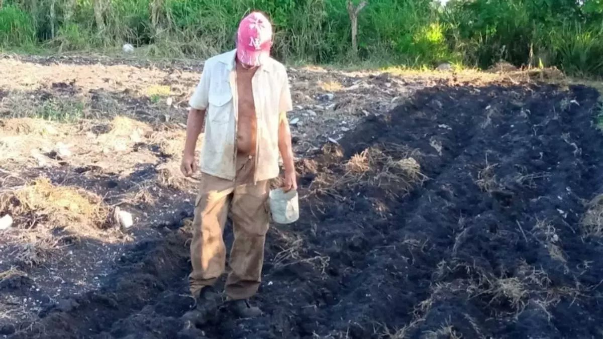 TheCubanHistory's tweet photo. UNA NUEVA LEY blinda la propiedad socialista de la tierra, aunque abre la puerta a los extranjeros como usufructuarios.

Leer Mas Oprimiendo Aqui> https://t.co/eYtn15cXb6...

A NEW LAW safeguards socialist land ownership, although it opens the door for foreigners to hold usufruct https://t.co/vuO4h7Js8x