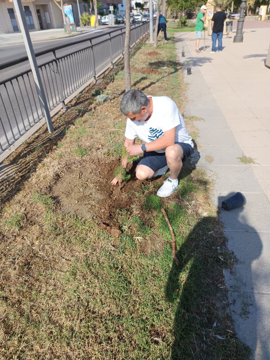 trhom's tweet photo. Por el Día Mundial del Medio  Ambiente....plantemos un arbol https://t.co/YILBtFoMLZ