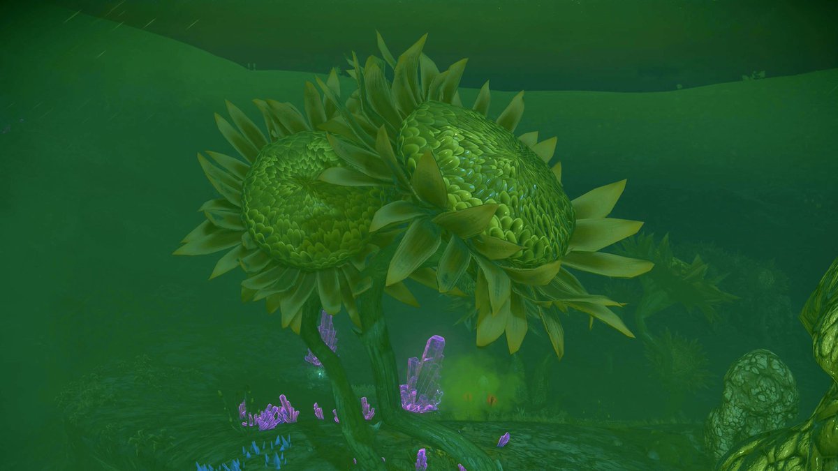 Saltine_Puff's tweet photo. #NoMansSky https://t.co/qOhTvplYSm