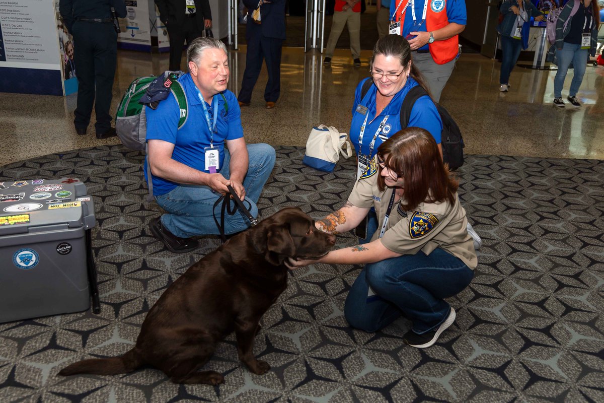 nationalcops's tweet photo. Behind every camp, weekend, training, and event are people who give their time and hearts to support survivors. 💙

Interested in getting involved? Contact the C.O.P.S. National Office to learn about volunteer opportunities. https://t.co/pXwNOIg8Dg https://t.co/PCEMLUs5ev