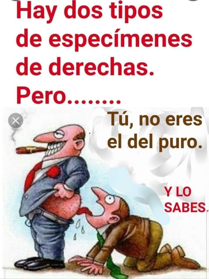 KerryConabo's tweet photo. @manolo_2209 @jlpmadrid @gabrielrufian @oscar_puente_ Disminuidos dice el fachipobre follaovejas jajajajajaja como metan examen de cultura general para votar, vuestra derecha no saca ni 2 escaños, analfabeto vendepatrias 🤣🤣🤣 https://t.co/AJydpe6xjD