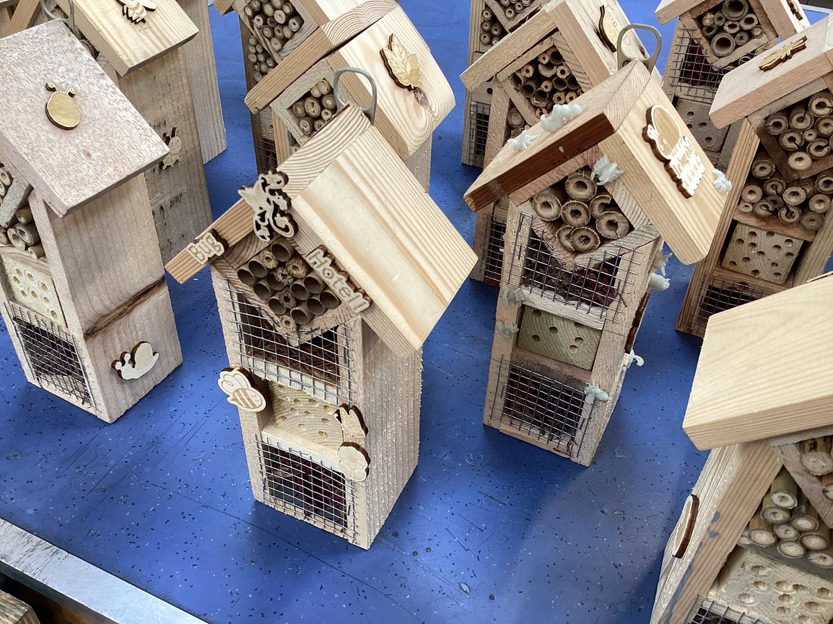 PorthcawlDT_Art's tweet photo. Mr Pettit’s Year 7DDt1 class finished making their Insect/Bug Hotels today. They laser cut plywood decorations &amp; mounted them onto their products. One of the students added 3D printed decorations as well. Before they take them home they will add a coat of oil to protect the wood. https://t.co/dtVNnyxSPK