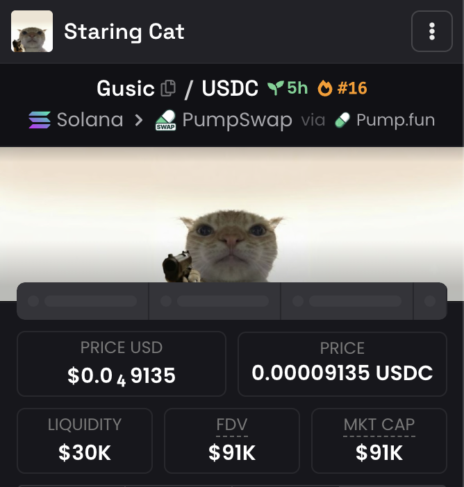 Gusic The Staring Cat tweet media