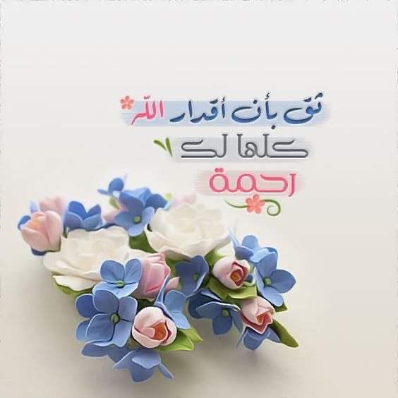 sookoon2's tweet photo. @adhamsharkawi https://t.co/8a1k0h0j6Z