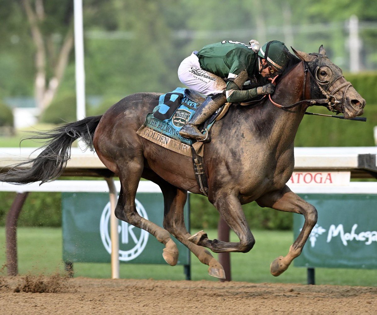 elonreevspacex2's tweet photo. 🏇 GOLDEN TEMPO…!!!
Doble 👑 👑 con sus victorias en el @KentuckyDerby y @BelmontStakes regresó a la cuadra de Cherie DeVaux en @keeneland 
El plan para sus dos próximas actuaciones: Jim Dandy Stakes G1 y Travers Stakes G1, ambos clásicos en Saratoga https://t.co/6ANfUasavB