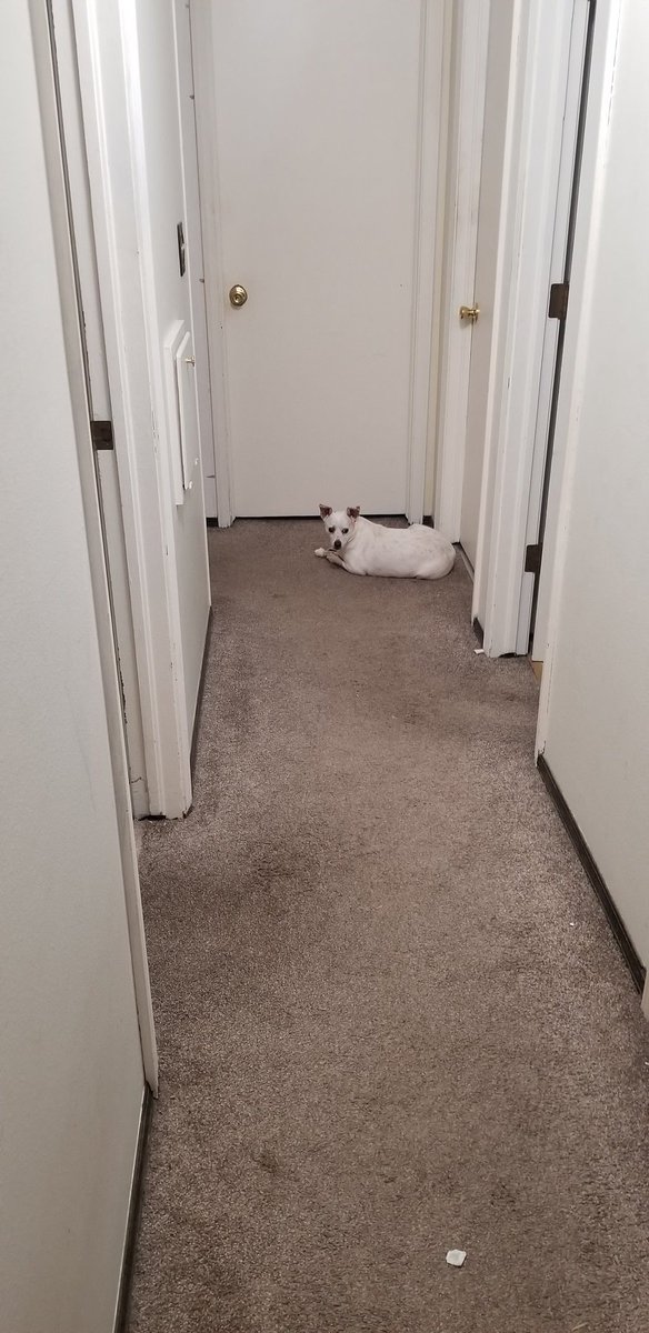 StuffeddL's tweet photo. She ain't guarding shit https://t.co/syBBm2l2vv
